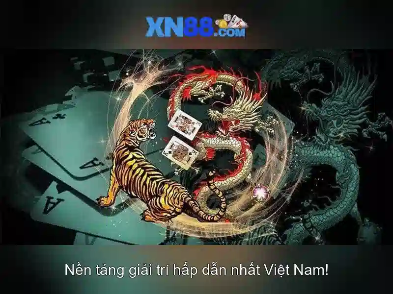 hệ thống giám sát và tuân thủ hoạt động xn88